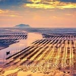 Avatar de Manuel Saavedra